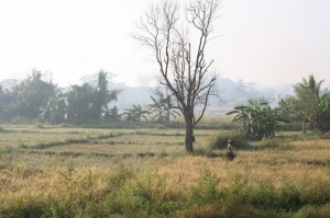 Hikkaduwa - Sri Lanka (3)