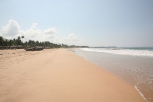 Hikkaduwa - Sri Lanka (32)