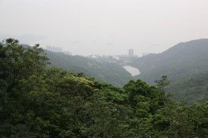 Hongkong (338)