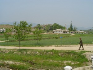 Korea Północna (133)