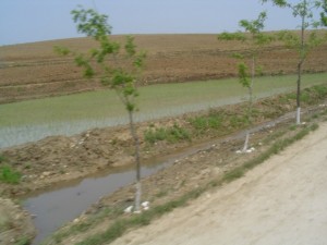 Korea Północna (141)