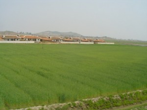 Korea Północna (154)