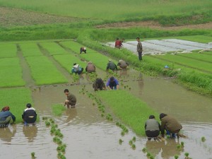Korea Północna (3)