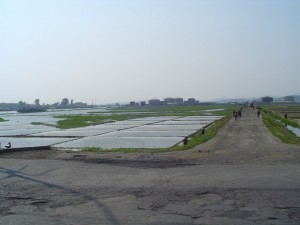 Korea Północna (33)