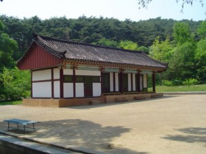 Korea Północna (51)