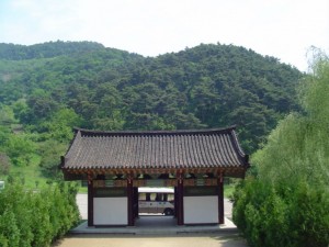 Korea Północna (56)