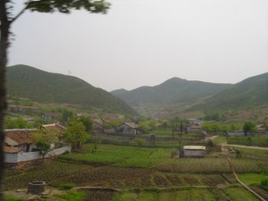 Korea Północna (81)