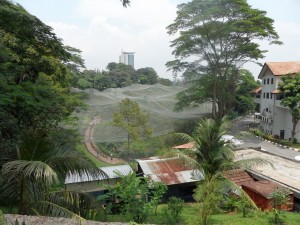 Kuala Lumpur (203)