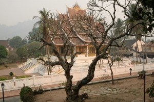 Laos - Luang Prabang (331)