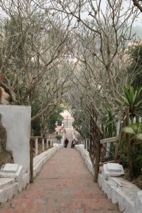 Laos - Luang Prabang (336)