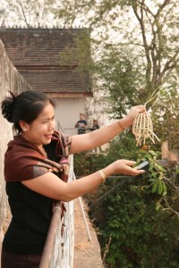 Laos - Luang Prabang (356)