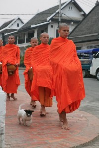 Laos - Luang Prabang (51)