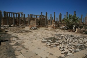 Libia (355)