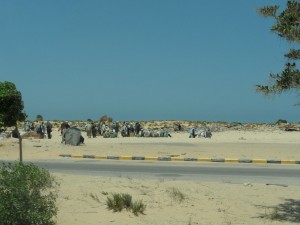 Libia (5)