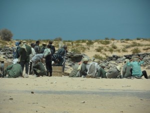 Libia (6)