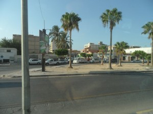 Libia (67)