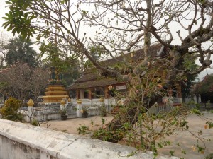 Luang Prabang - Laos (139)