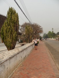 Luang Prabang - Laos (144)