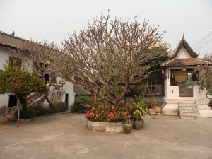Luang Prabang - Laos (145)