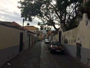 Madera - Portugalia (12)