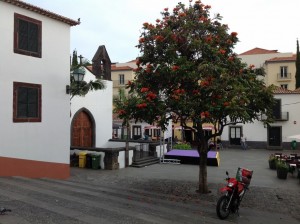 Madera - Portugalia (128)