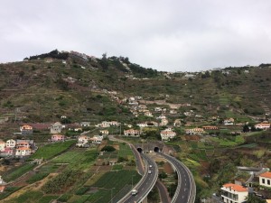 Madera - Portugalia (679)