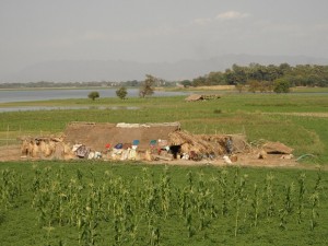 Mandalay - Birma (194)