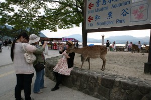 Miyajima (37)