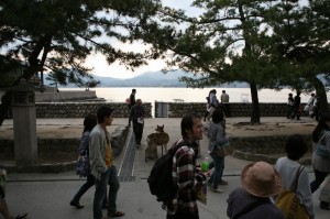 Miyajima (45)