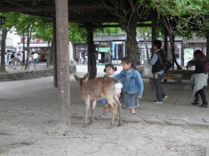 Miyajima Hiroszima (222)