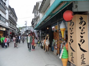 Miyajima Hiroszima (228)