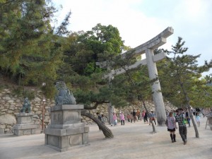 Miyajima Hiroszima (230)