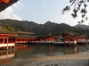 Miyajima Hiroszima (255)