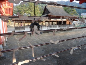 Miyajima Hiroszima (276)