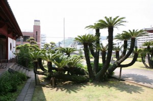 Nagasaki (164)