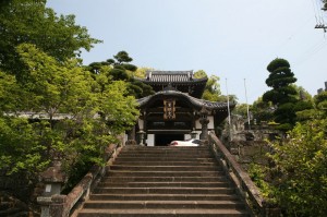 Nagasaki (193)