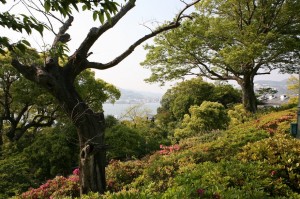 Nagasaki (266)