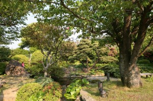 Nagasaki (282)
