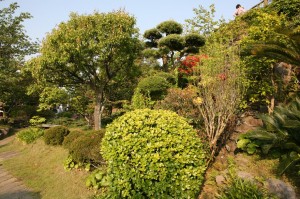 Nagasaki (284)