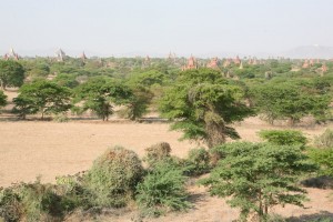 Pagan - Bagan - Birma (18)