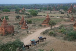 Pagan - Bagan - Birma (218)