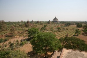 Pagan - Bagan - Birma (93)