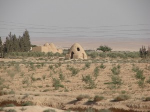 Palmira - Syria - Palmyra (10)