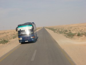 Palmira - Syria - Palmyra (12)