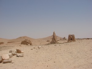 Palmira - Syria - Palmyra (120)