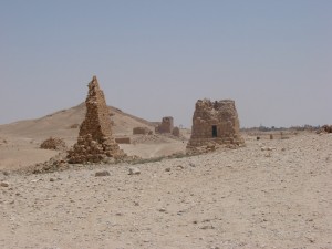 Palmira - Syria - Palmyra (121)