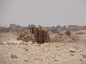Palmira - Syria - Palmyra (122)