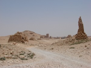 Palmira - Syria - Palmyra (123)