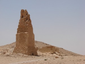 Palmira - Syria - Palmyra (128)