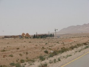 Palmira - Syria - Palmyra (147)